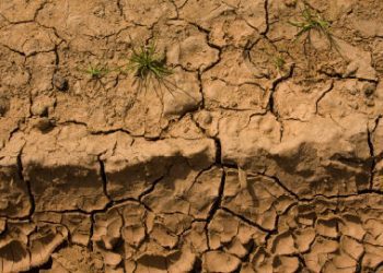 What Are The Effects And Prevention Of Land Pollution?